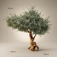 Translation missing: ro.products.product.gallery_thumbnail_alt