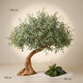 Translation missing: ro.products.product.gallery_thumbnail_alt