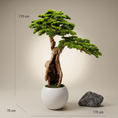 Translation missing: ro.products.product.gallery_thumbnail_alt
