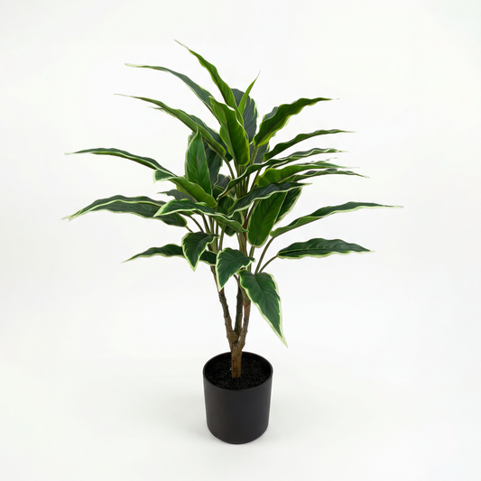 Rohdea Artificială Japonica H65cm • Textură Reală • 36 Frunze