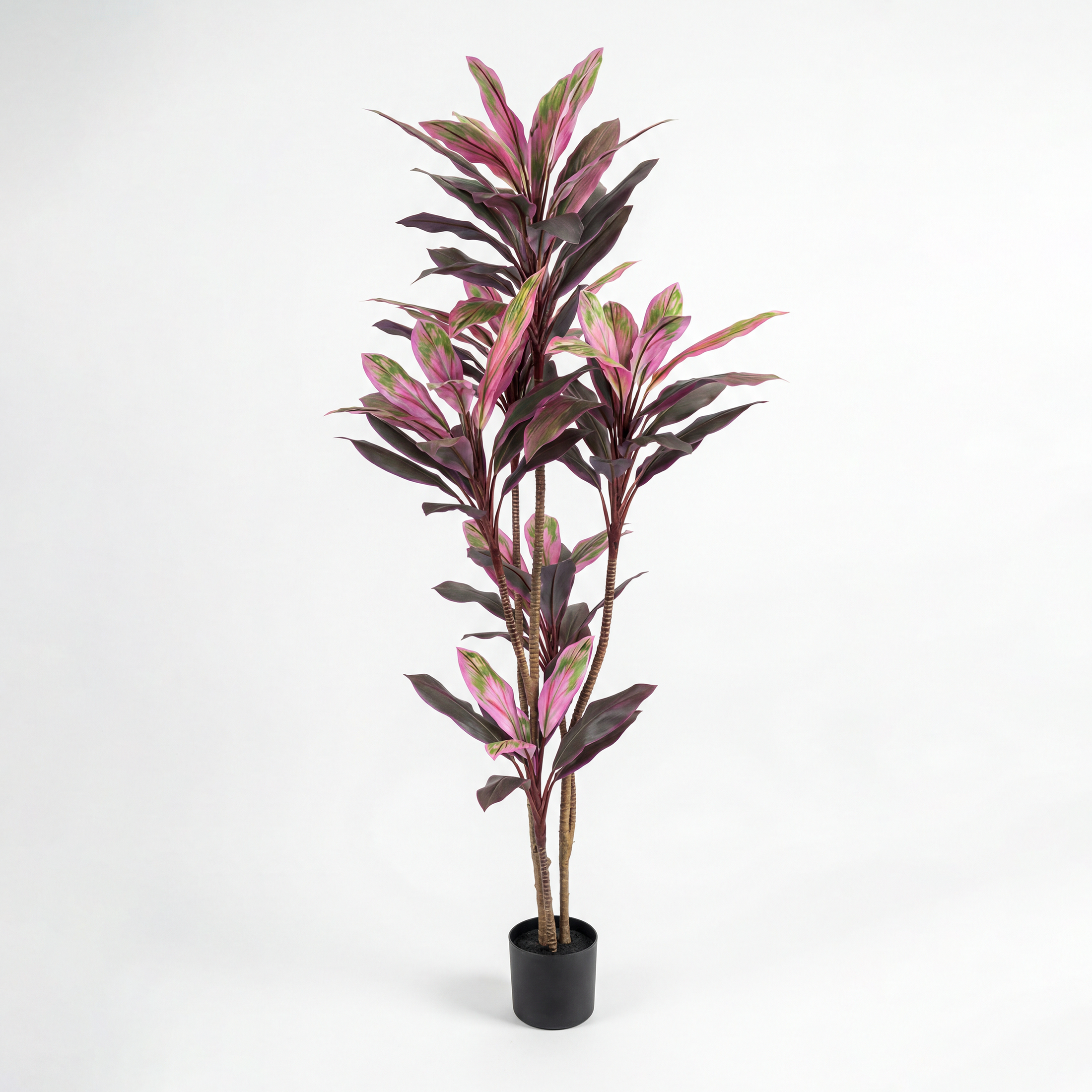 Dracaena Rubin Artificială H200cm • Textură Reală