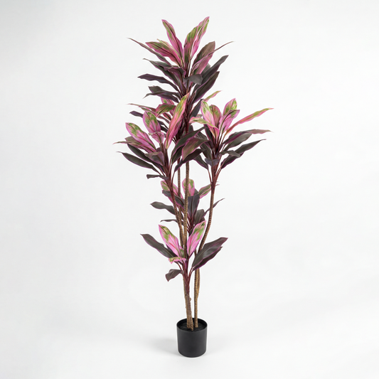 Dracaena Rubin Artificială H200cm • Textură Reală