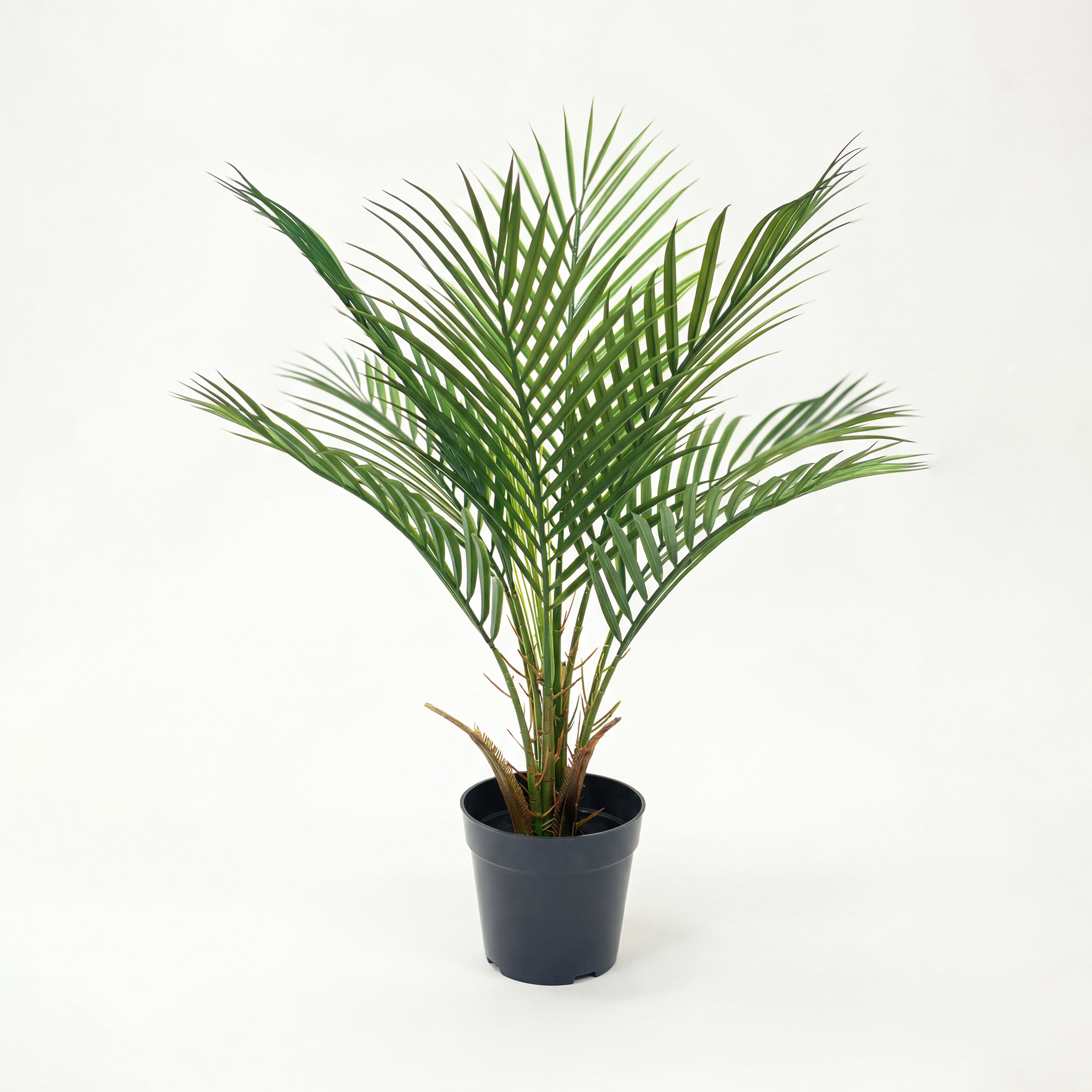 Palmier Artificial H60cm • Textură Reală • 8 Frunze