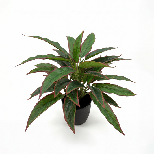 Planta Rohdea Artificială Ruby H45cm • Textură Reală • 44 Frunze