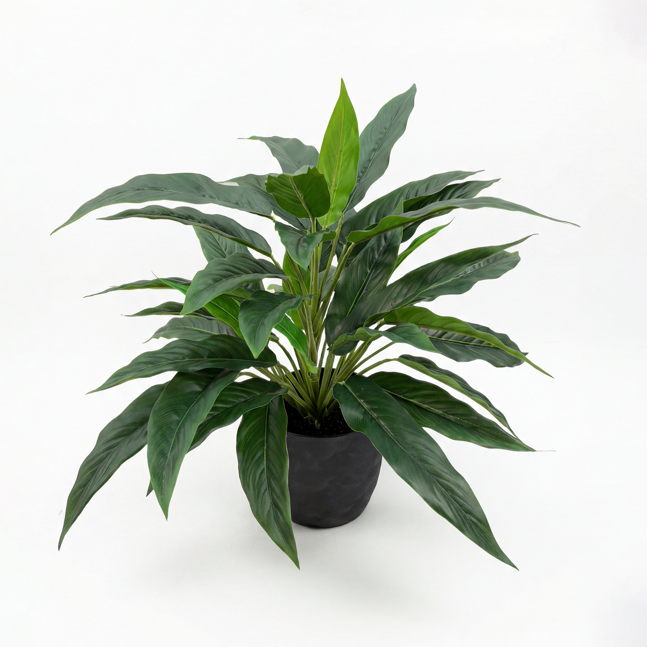 Rohdea Artificială H45cm • Textură Reală • 44 Frunze