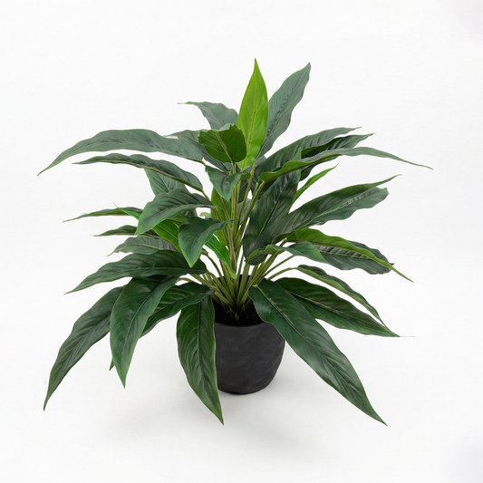 Rohdea Artificială H45cm • Textură Reală • 44 Frunze