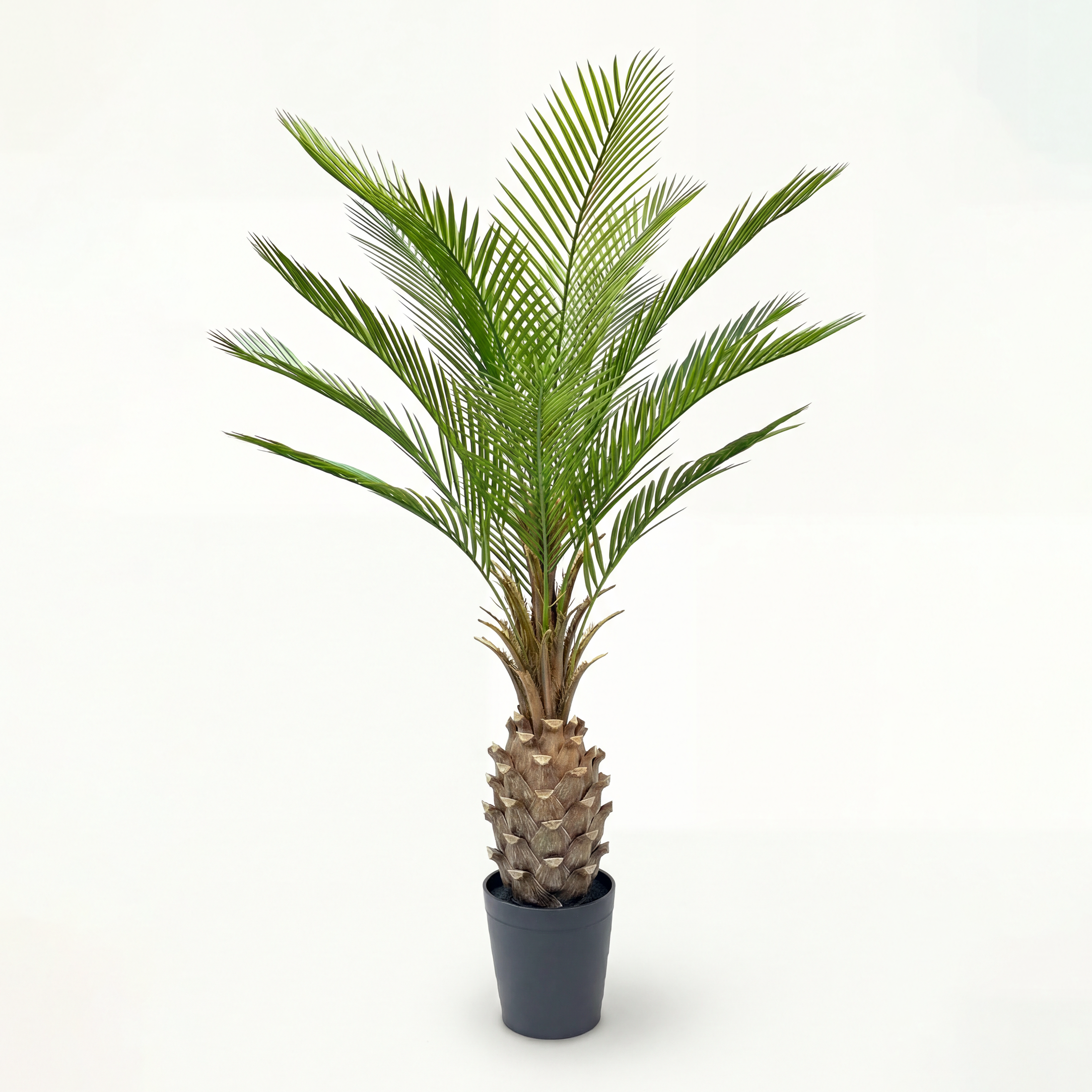 Palmier Artificial Cycas H150cm • Textură Reală • 12 Frunze