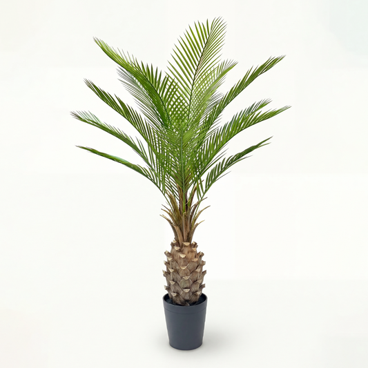 Palmier Artificial Cycas H150cm • Textură Reală • 12 Frunze