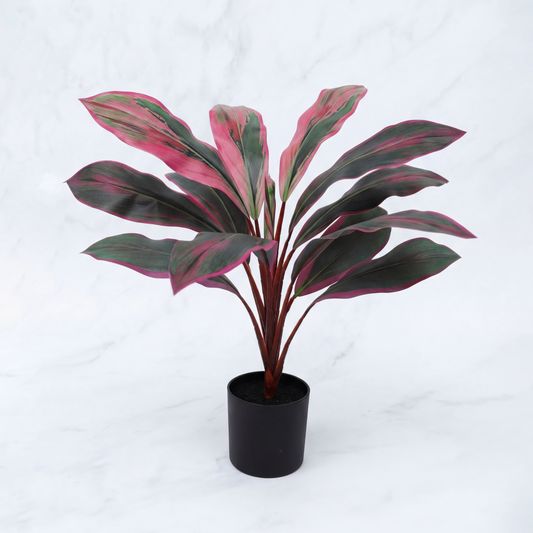 Dracaena Rubin Artificială H55cm • Textură Reală