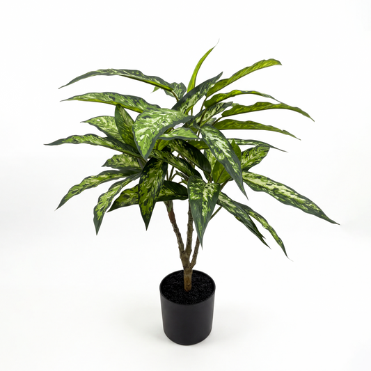 Copac Dieffenbachia Artificială H65cm • Textură Reală • 36 Frunze