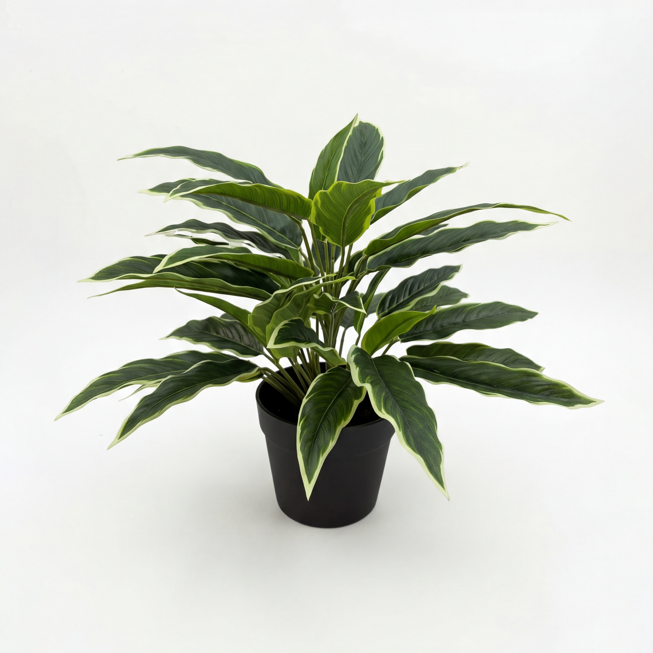 Rohdea Artificială Japonica H45cm • Textură Reală • 43 Frunze