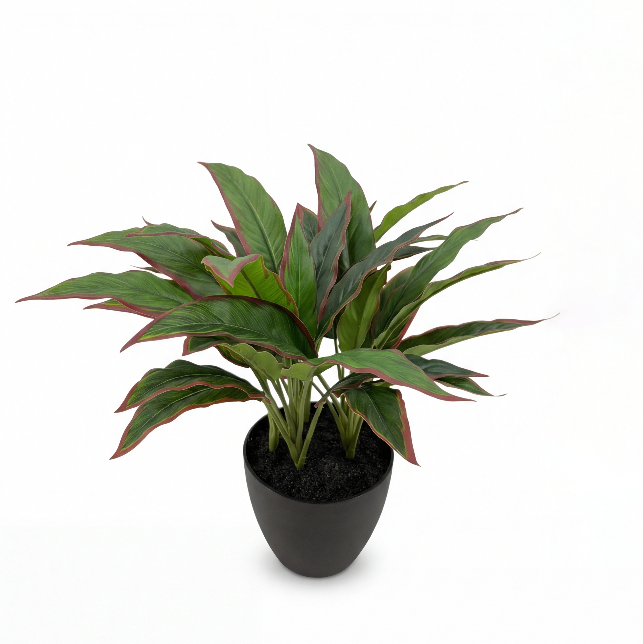 Rohdea Artificială Ruby H45 • Textură Reală • 37 Frunze