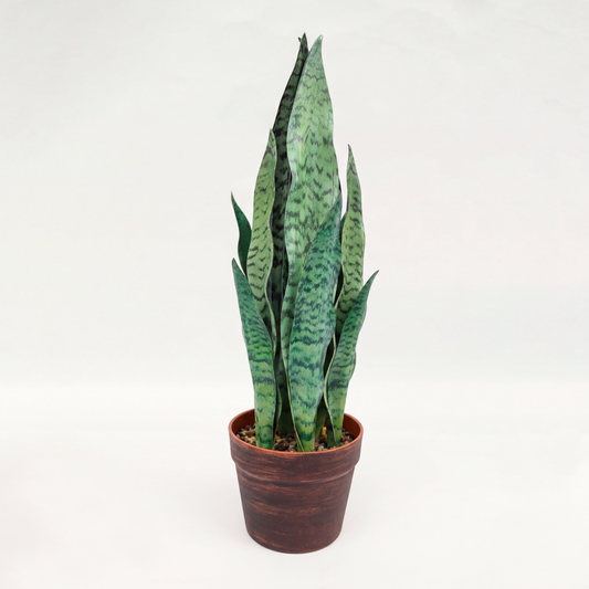 Sansevieria Zeylanica Artificială H55cm • Textură Reală • 12 Frunze