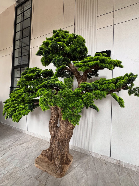 Imperium Pine