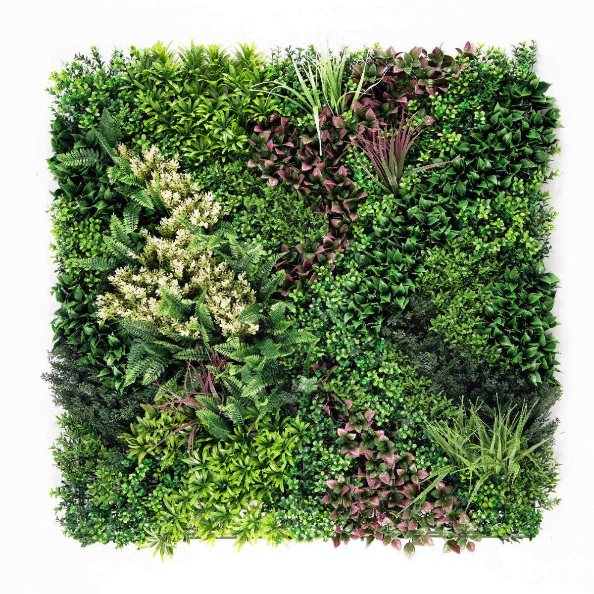 Perete Verde Artificial „ELIA 01" · 100×100 cm
