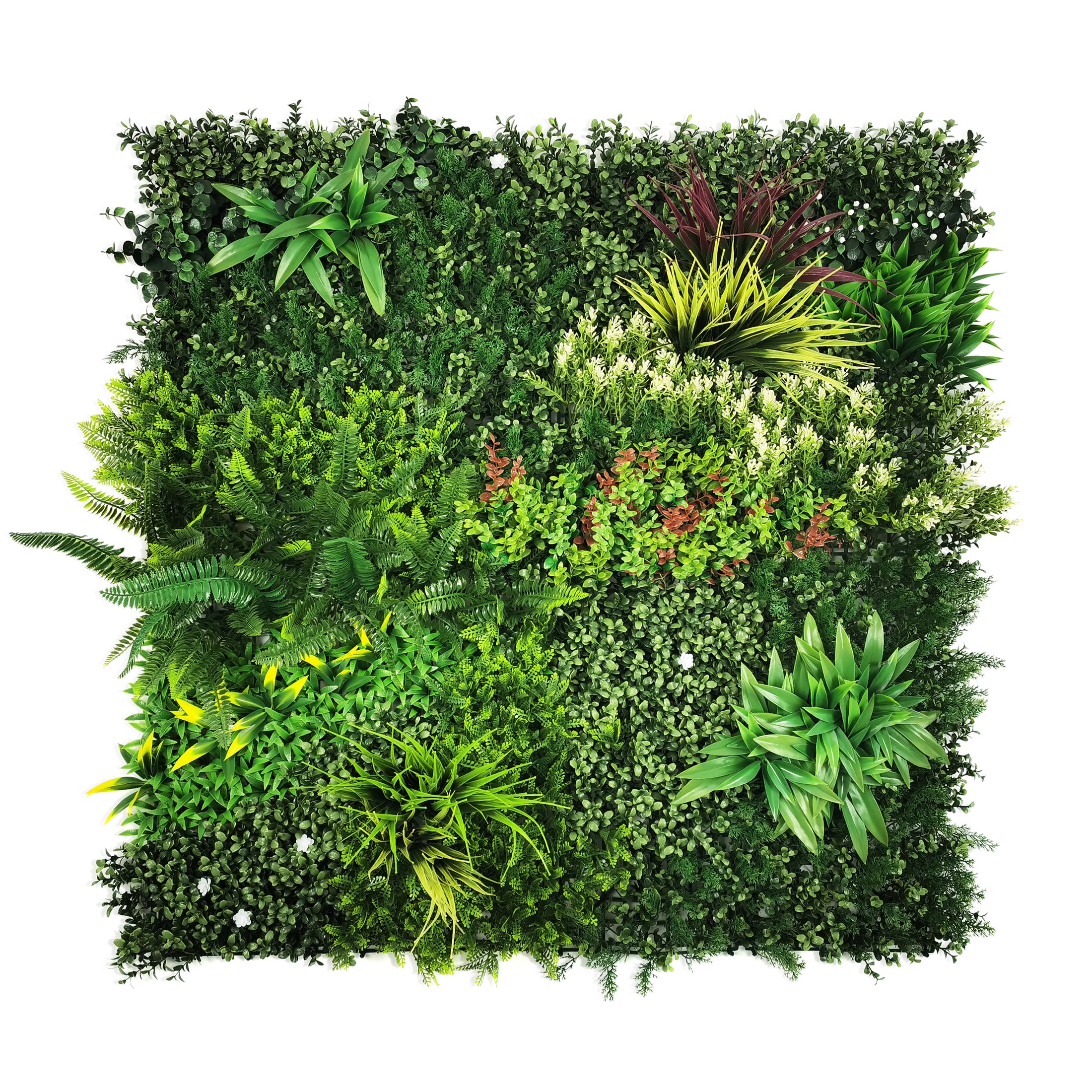 Perete Verde Artificial „EDEN" · 100×100 cm