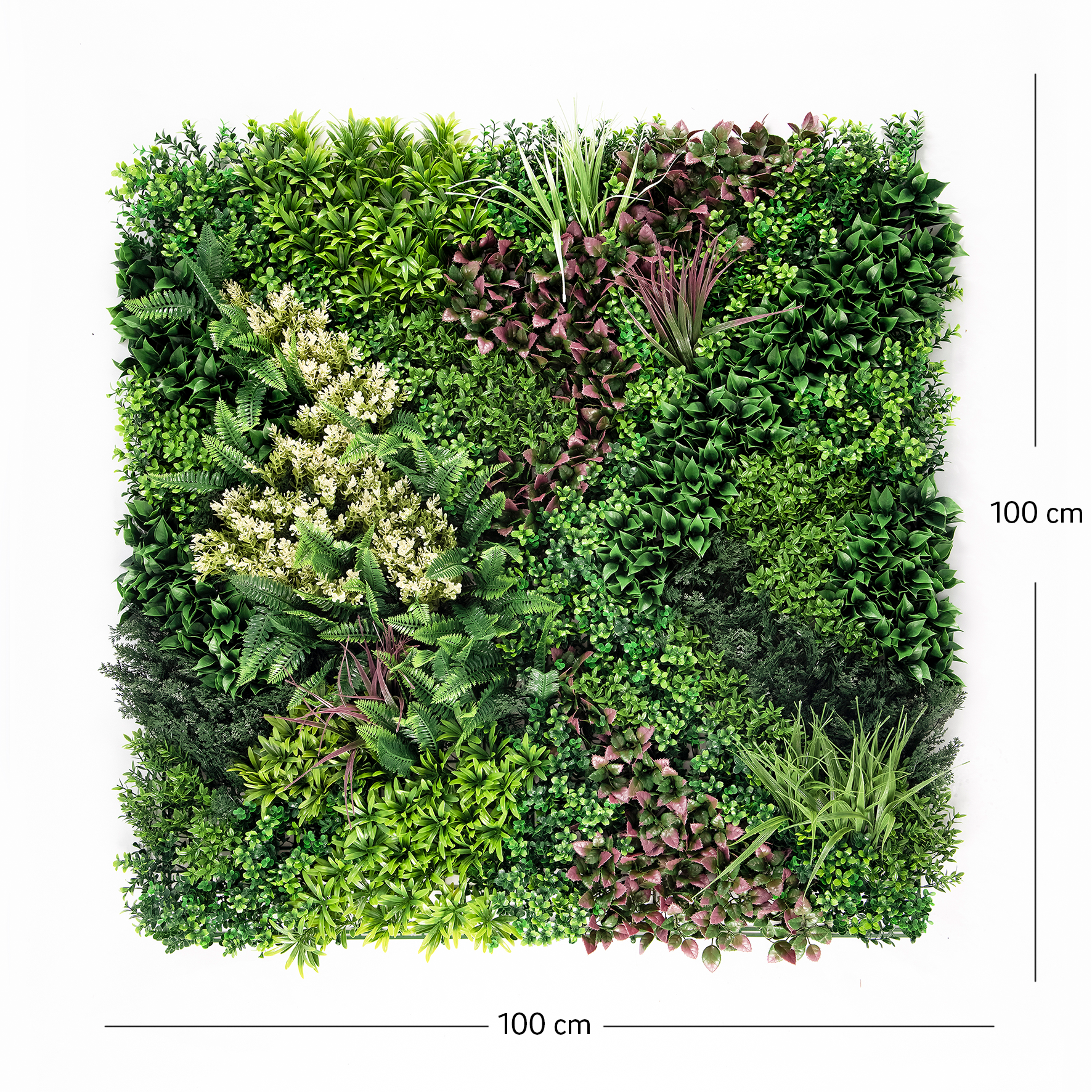 Perete Verde Artificial „ELIA 01" · 100×100 cm