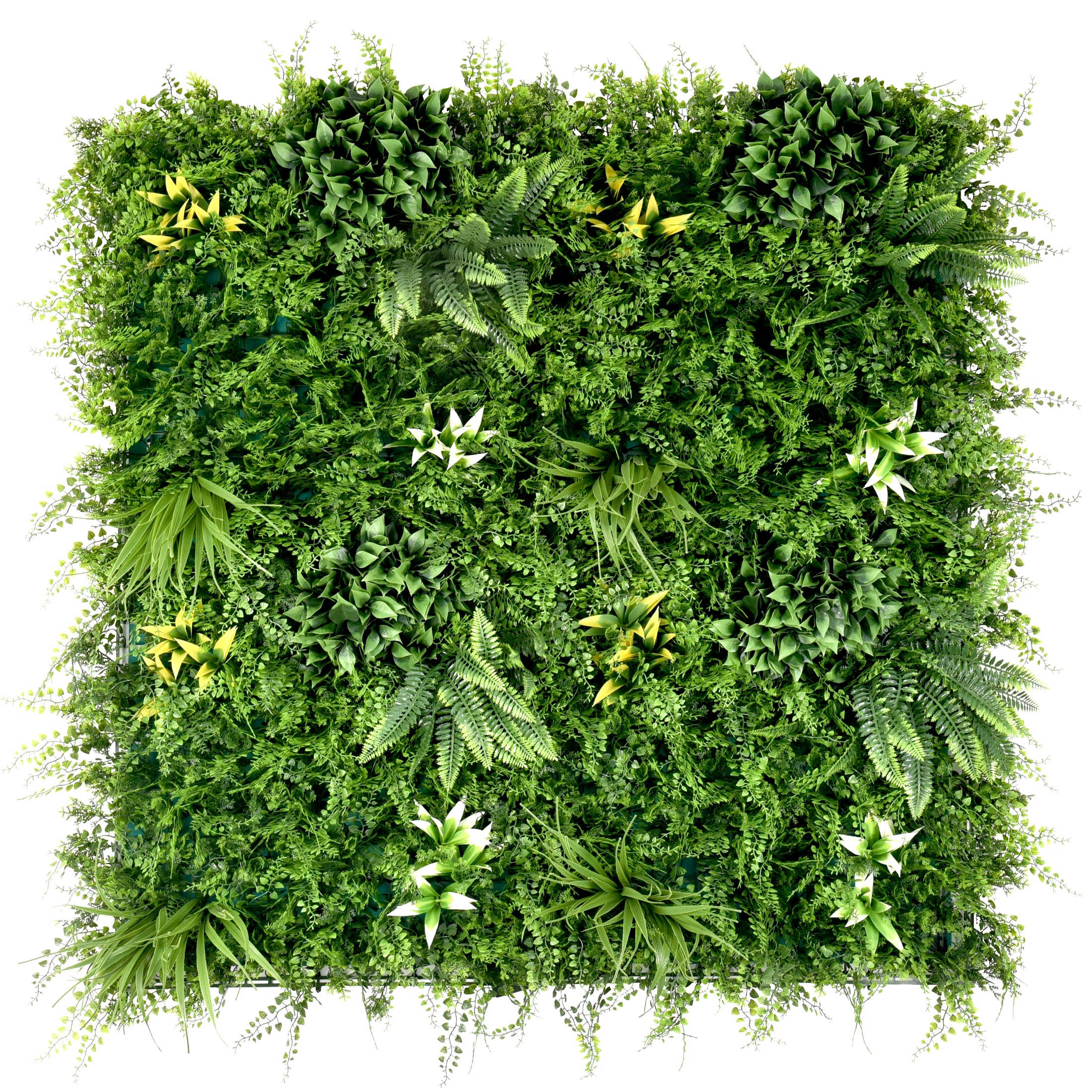 Perete Verde Artificial „GAIA" · 100×100 cm