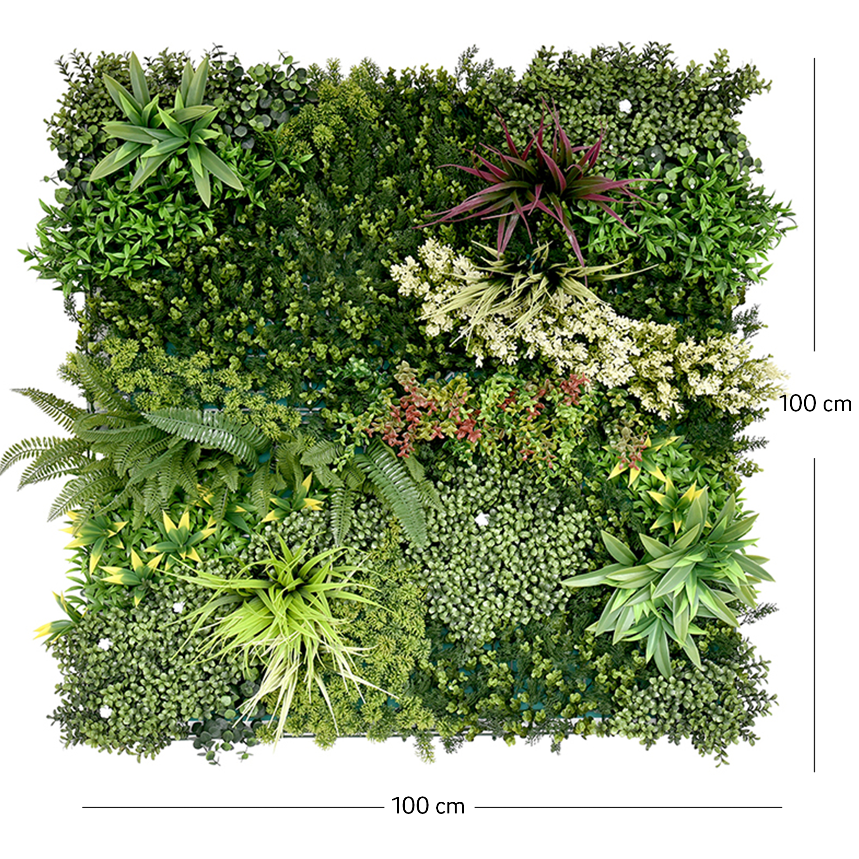 Perete Verde Artificial „TERA 01" ·  100×100 cm