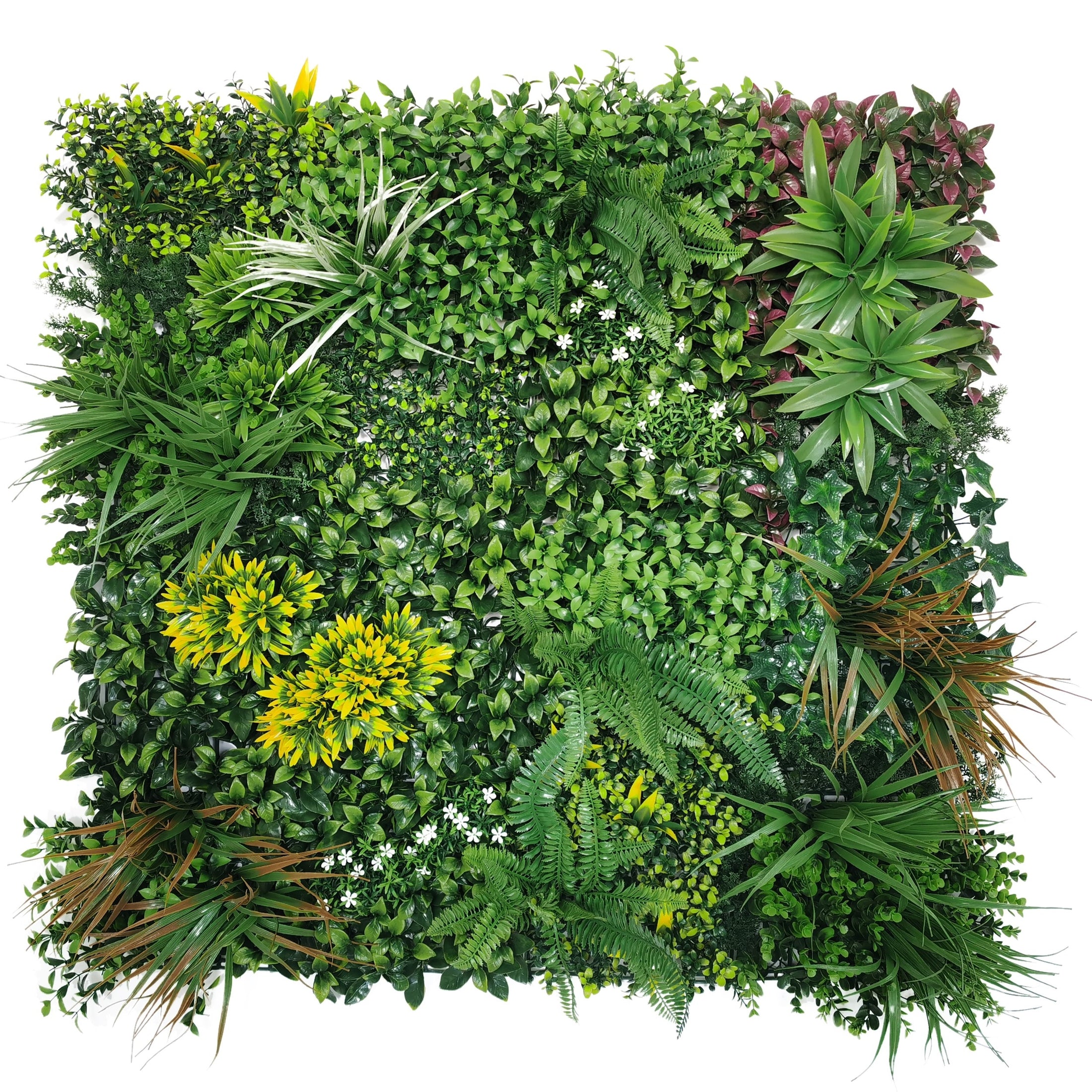 Perete Verde Artificial „VEGA" · 100×100 cm