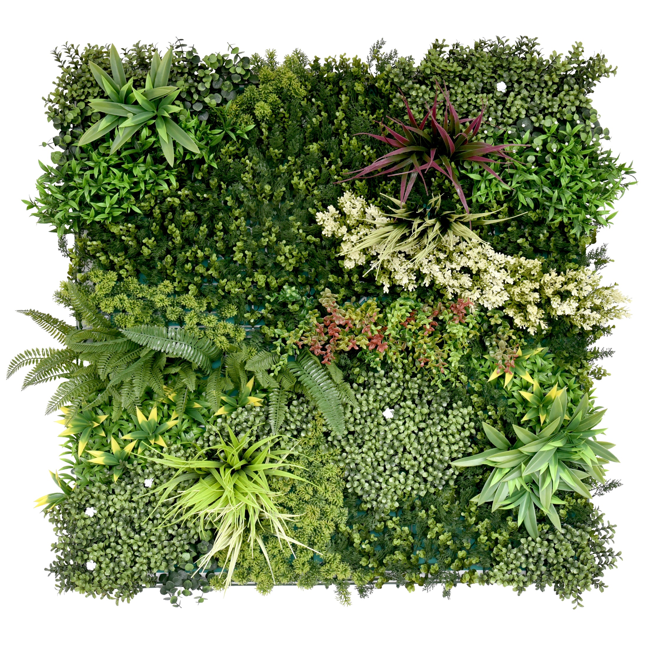 Perete Verde Artificial „TERA 01" ·  100×100 cm