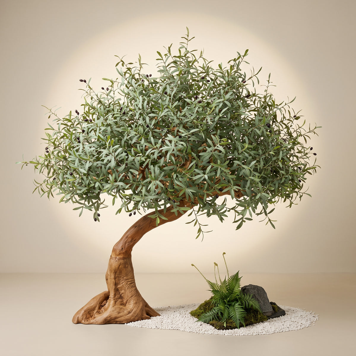 Riviera Olive
