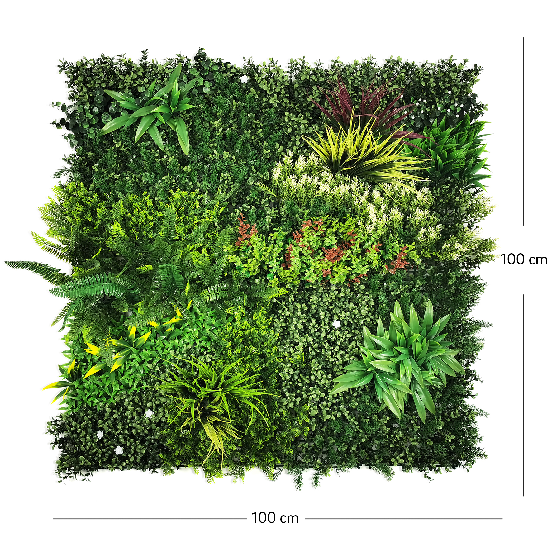 Perete Verde Artificial „EDEN" · 100×100 cm