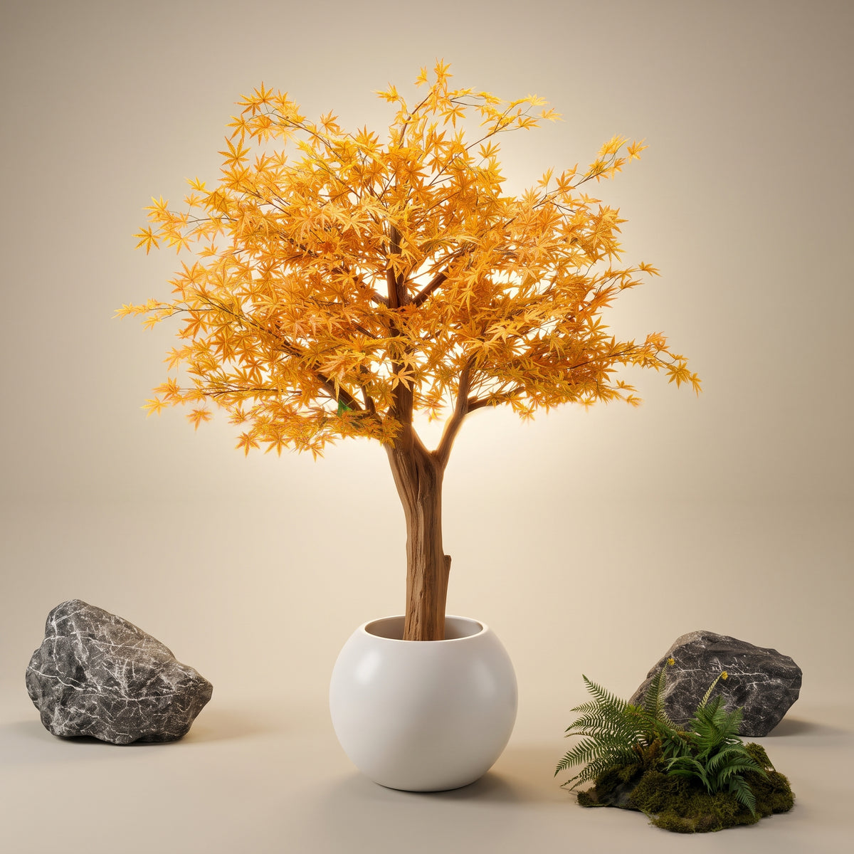 Autumn Aurea