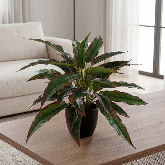 Planta Rohdea Artificială Ruby H45cm • Textură Reală • 44 Frunze
