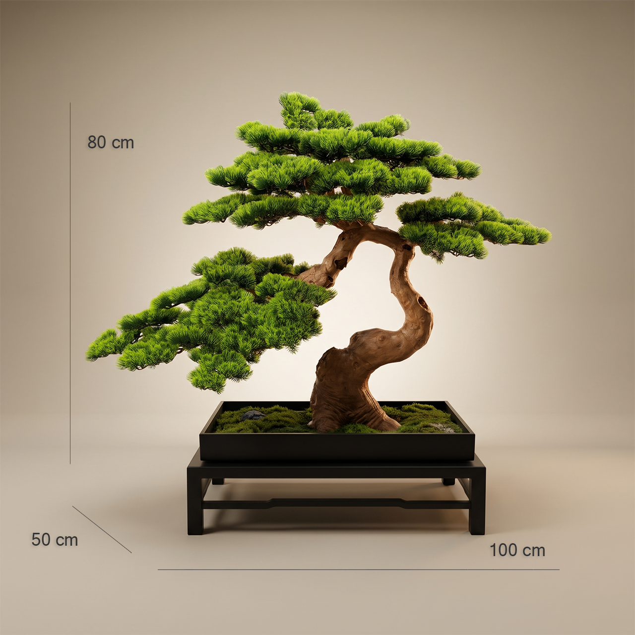 Noble Bonsai