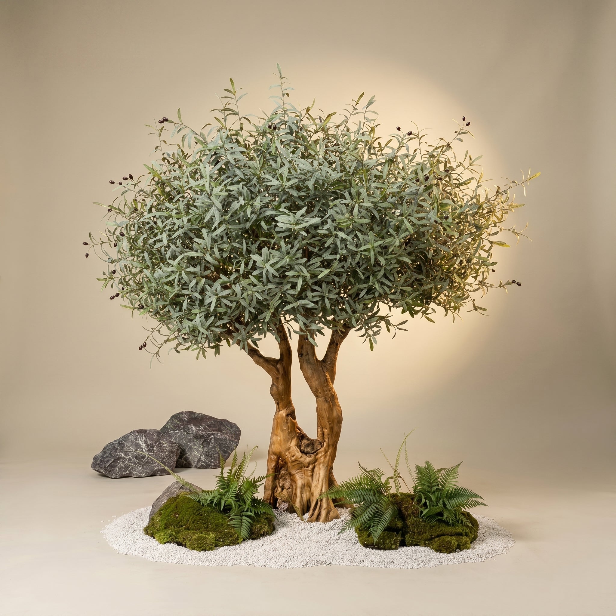 Toscana Olive