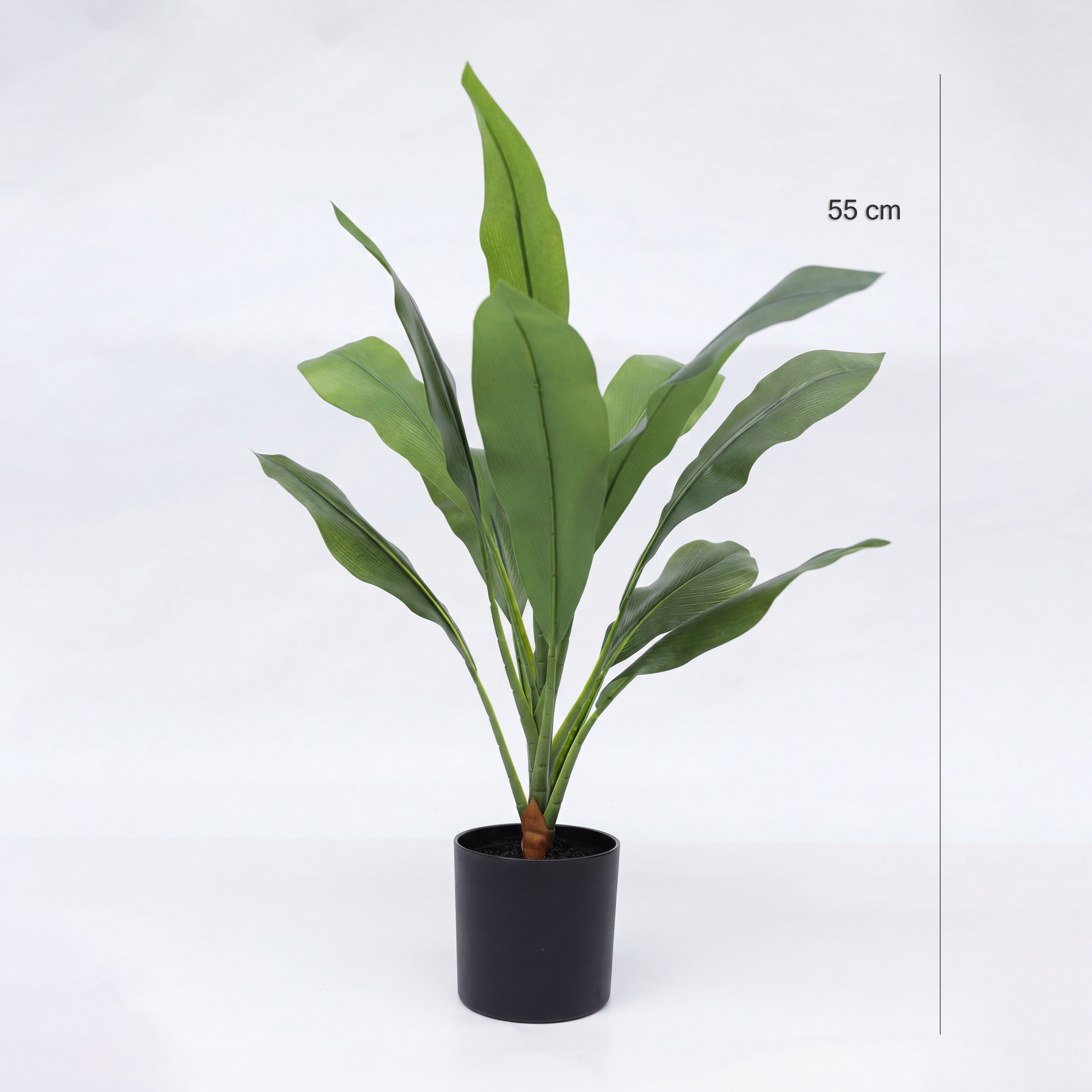 Dracaena Artificială H55cm • Textură Reală