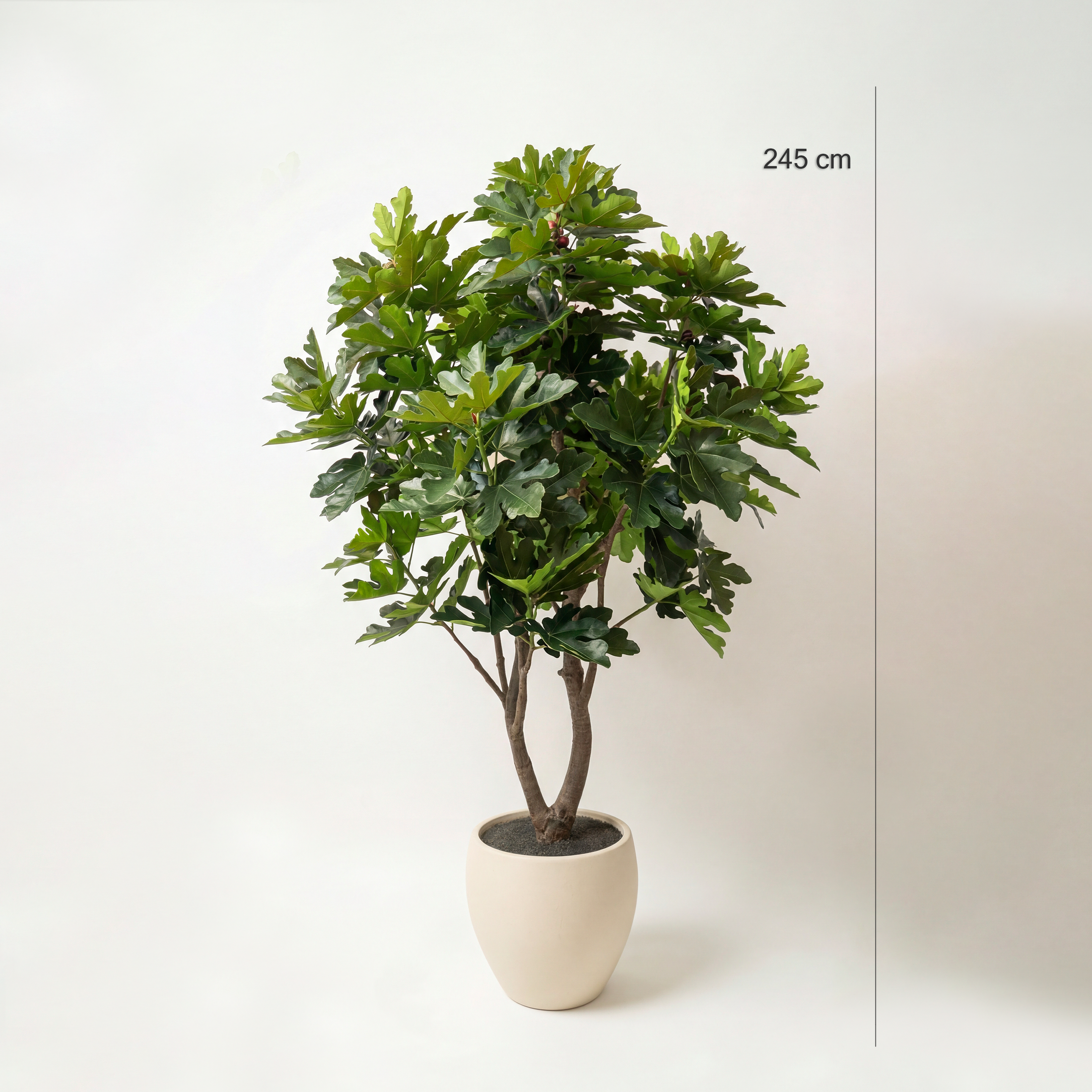 Copac Smochin Artificial 245cm • 198 Frunze • Textură Reală