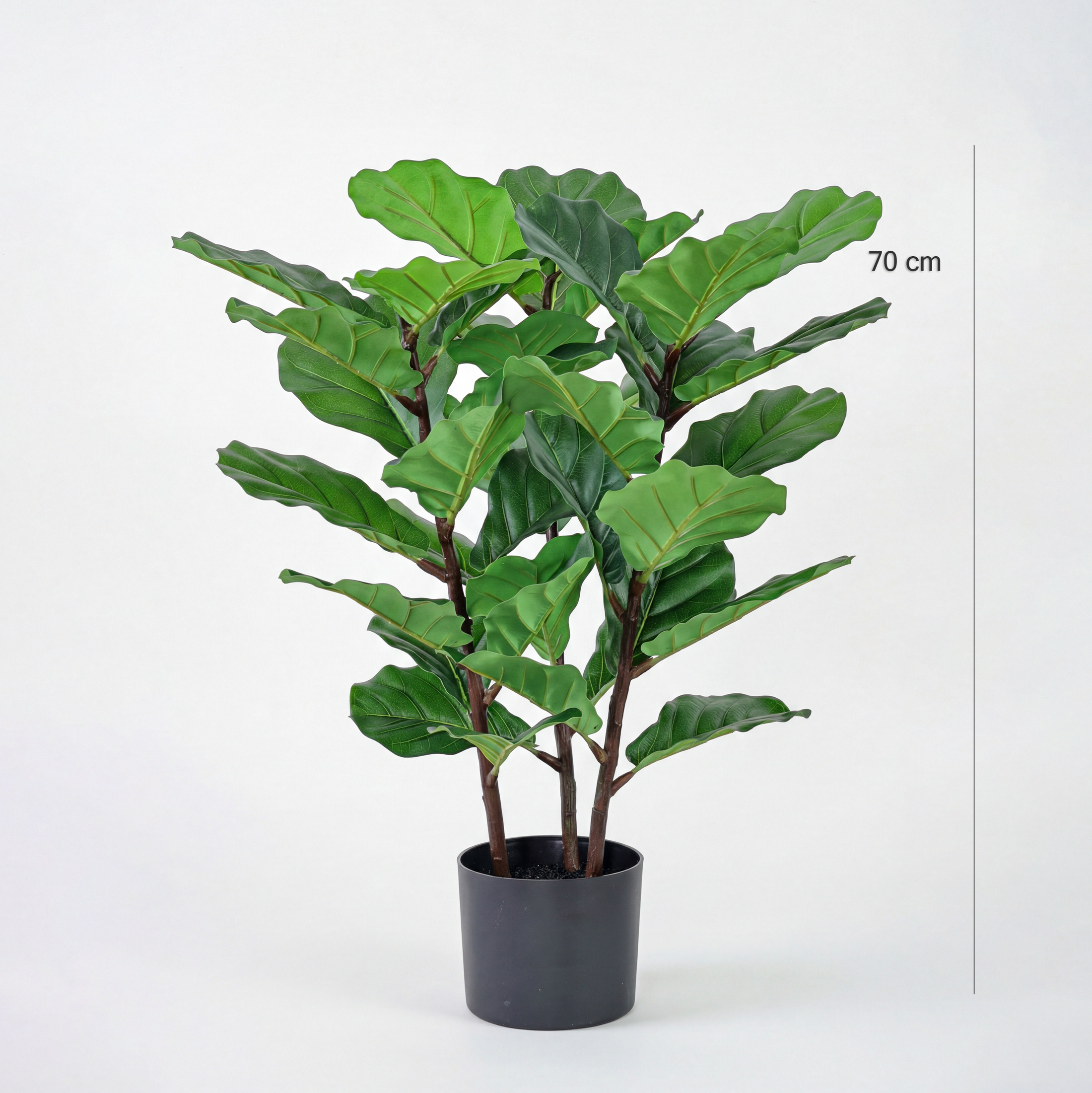 Ficus Lyrata Artificial H70cm • Textură Reală • 39 Frunze