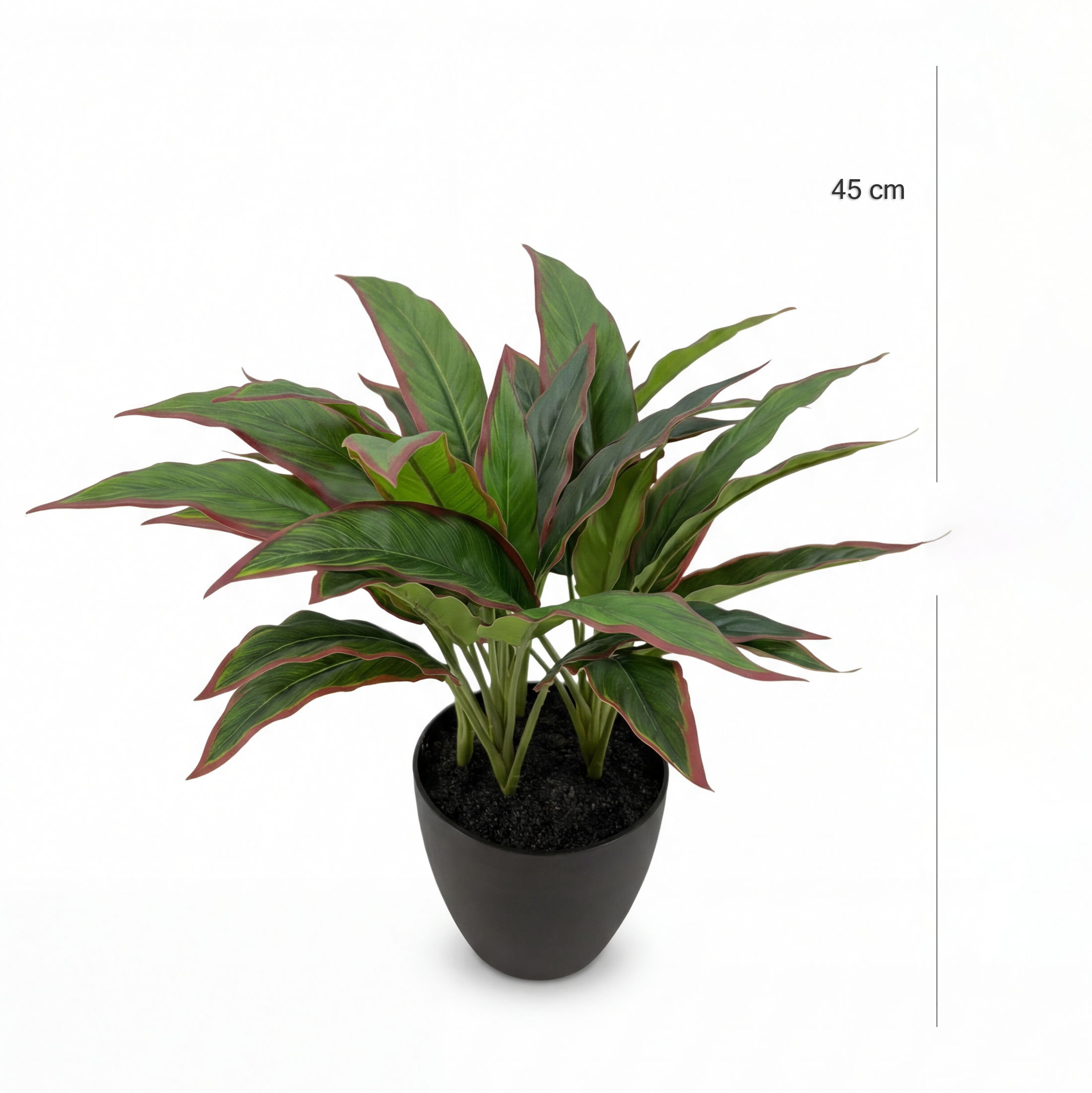 Rohdea Artificială Ruby H45 • Textură Reală • 37 Frunze