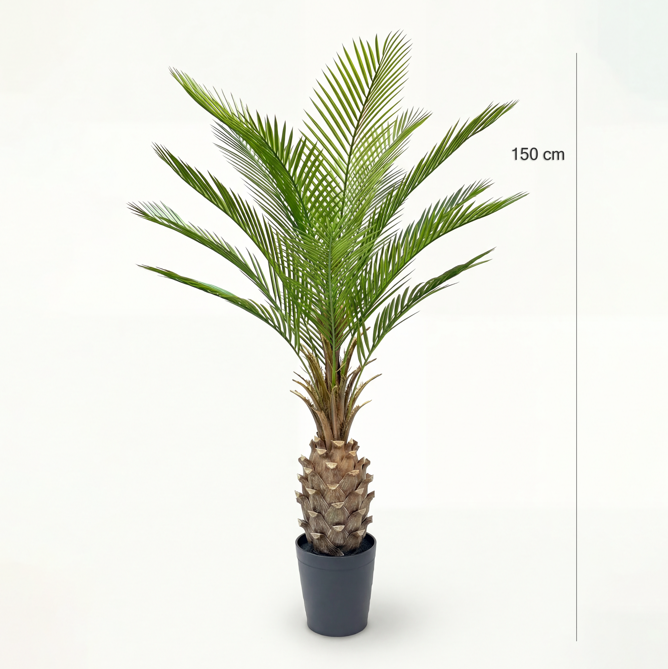 Palmier Artificial Cycas H150cm • Textură Reală • 12 Frunze