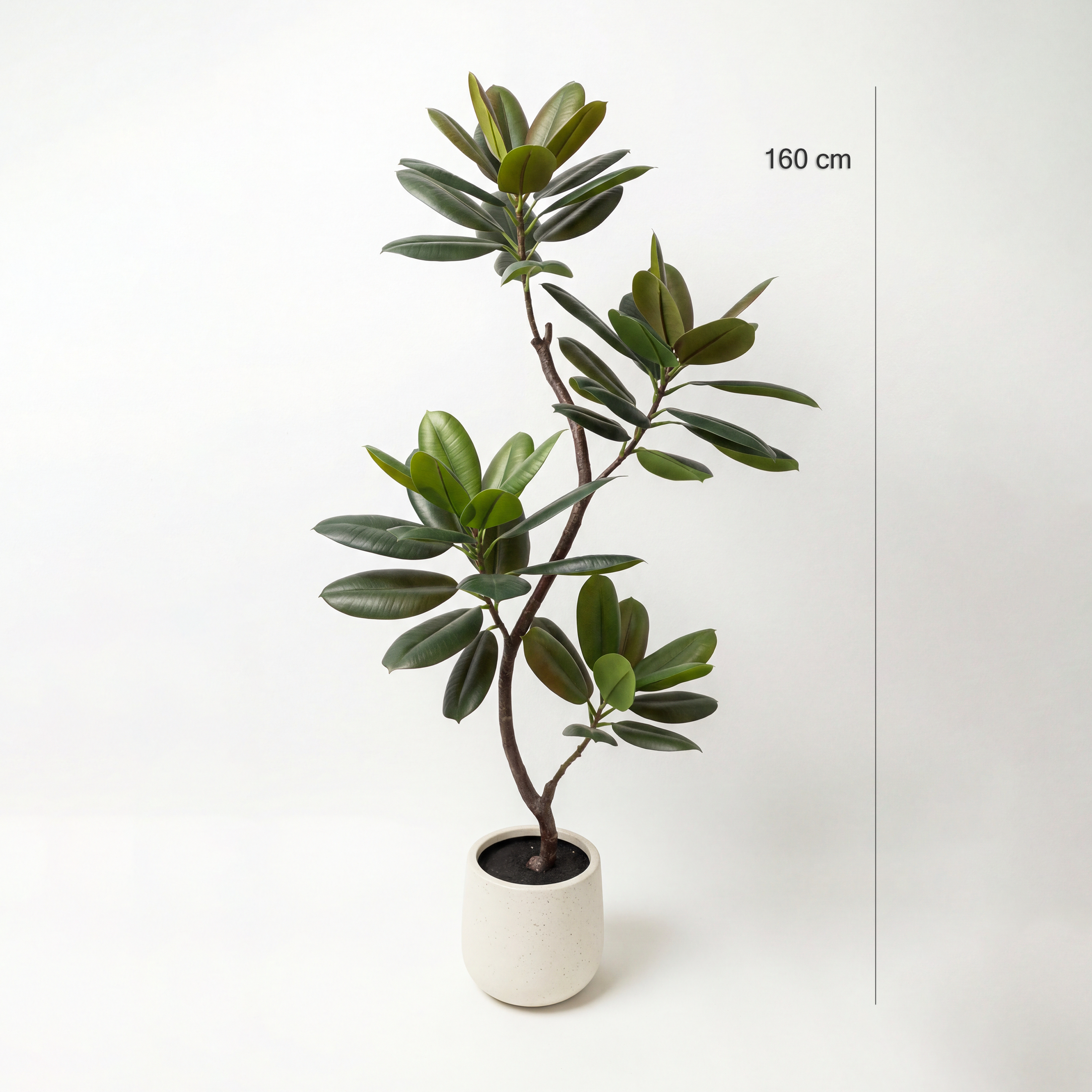 Copac Arbore de Cauciuc Artificial 160cm