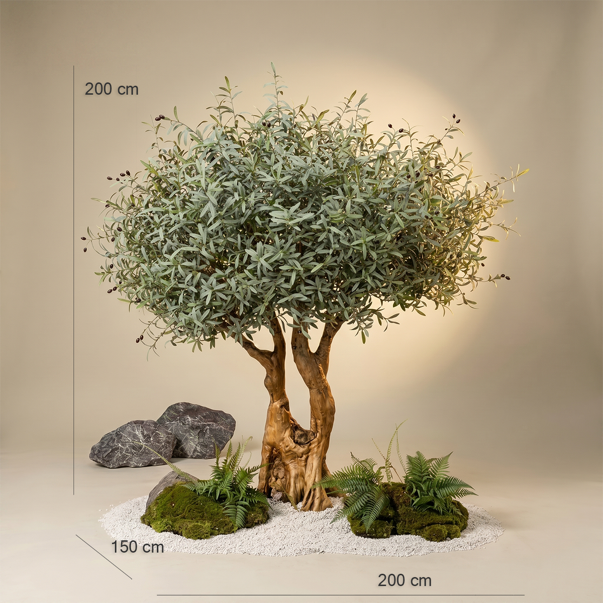Toscana Olive