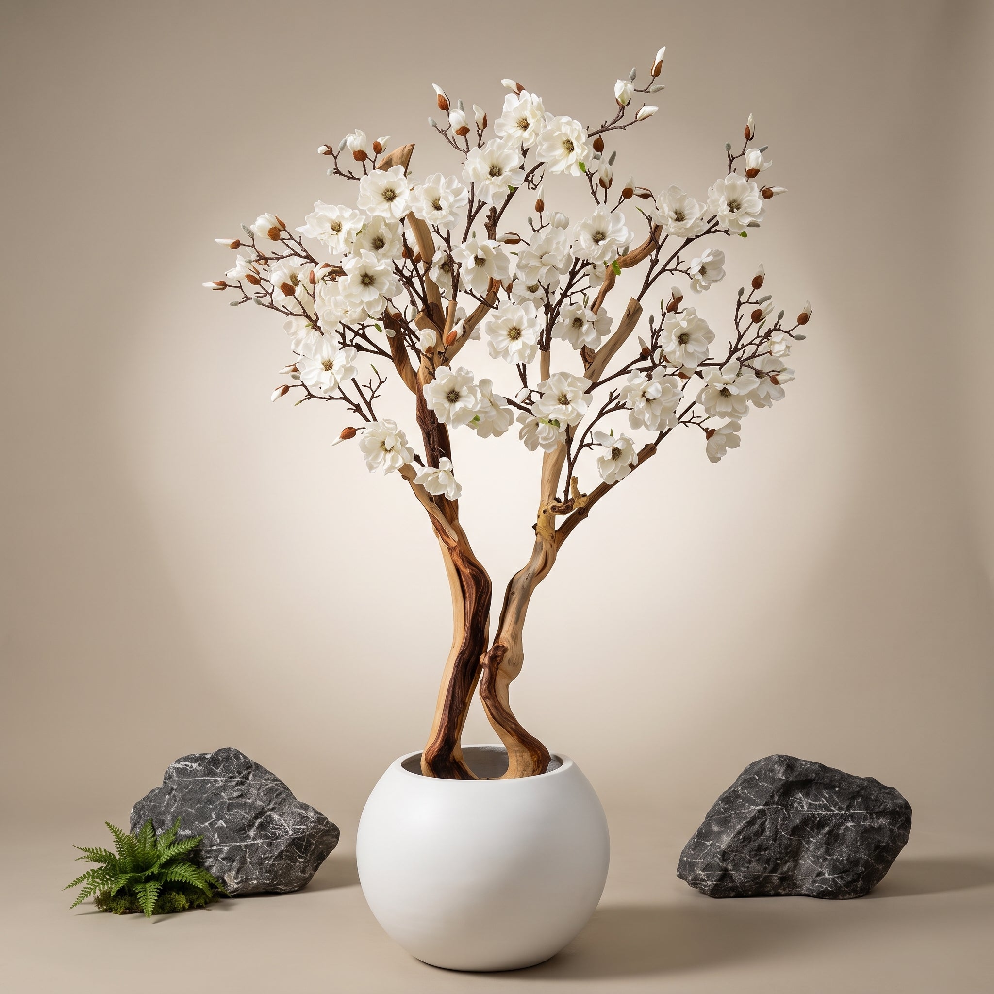Ivory Magnolia