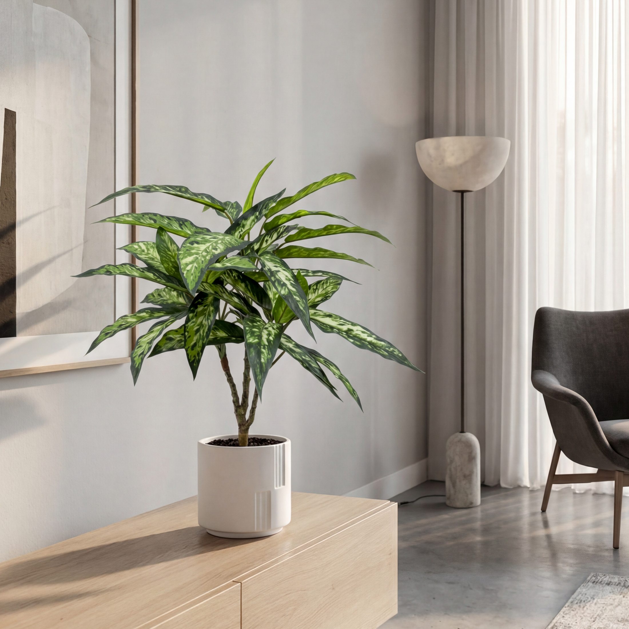 Copac Dieffenbachia Artificială H65cm • Textură Reală • 36 Frunze