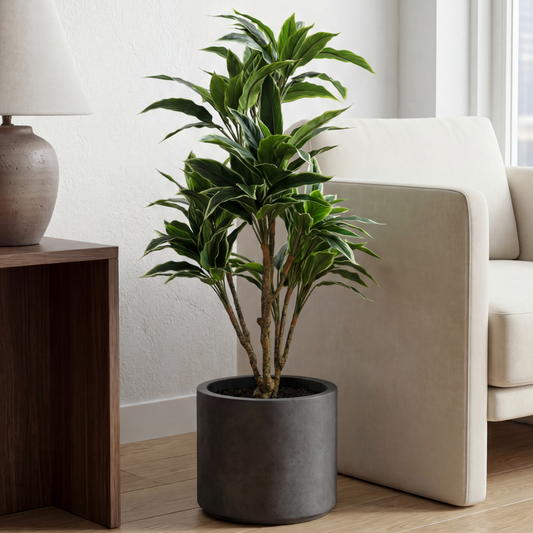 Rohdea Artificială Japonica H115cm • Textură Reală • 135 Frunze