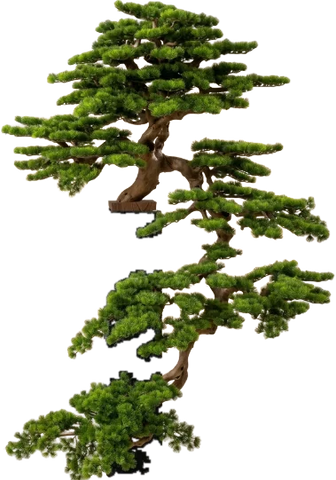 Cascade Imperial, 160 cm