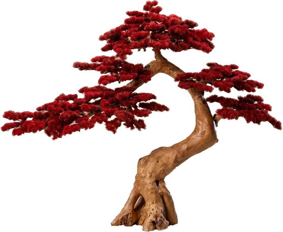 Crimson Majesty, 180 cm