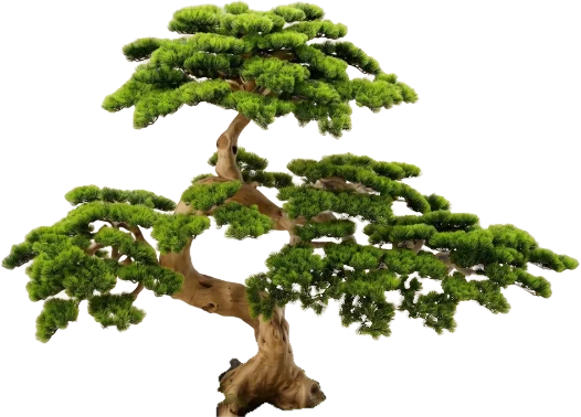 Jade Serenity, 130 cm