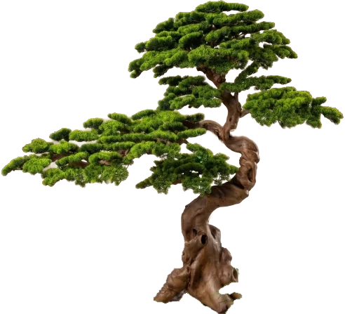 Silva Elegance, 200 cm