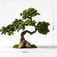 Translation missing: ro.products.product.gallery_thumbnail_alt
