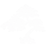 Bonsai pe trunchi din lemn natural