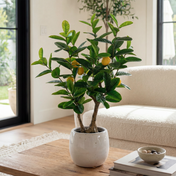 Plantă artificială Lămâi, 75 cm