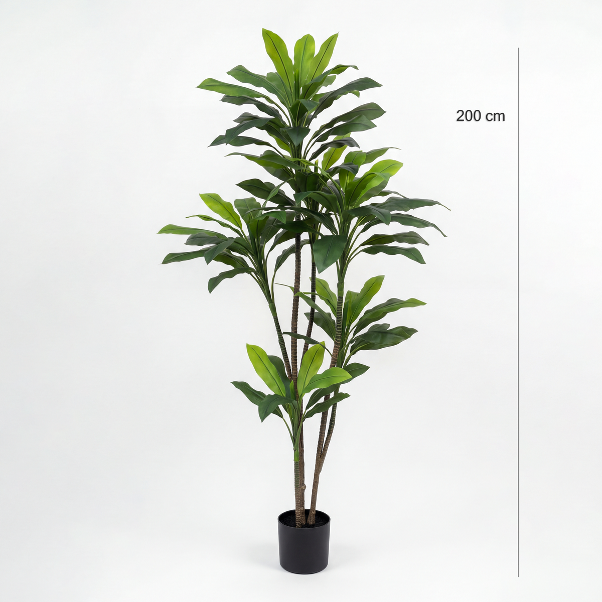 Dimensiuni plantă artificială Dracaena 200 cm