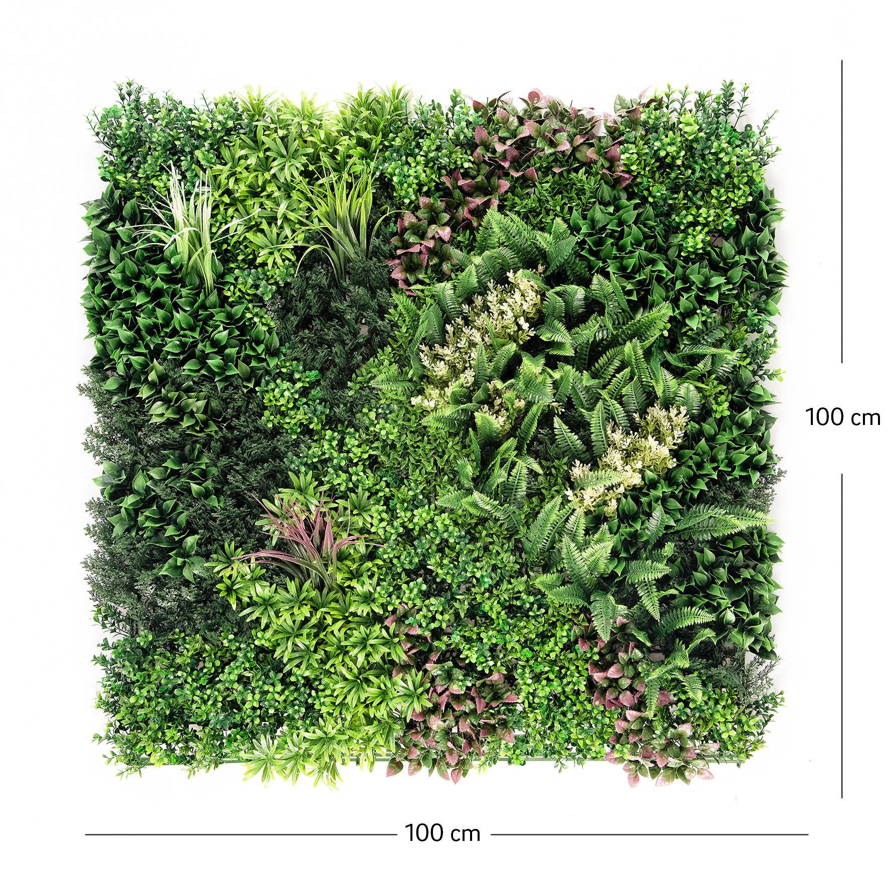 Perete Verde Artificial „ELIA 02" · 100×100 cm